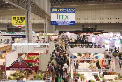 IFEXバナー