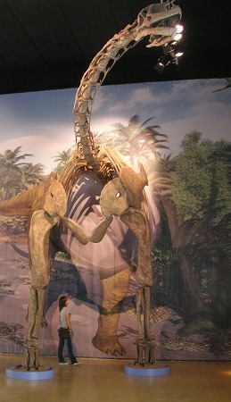 メガ恐竜展15 巨大化の謎にせまる ヨーロッパ最大の恐竜トゥリアサウルス日本初公開 M C