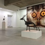 2015夏 魅惑のアートギャラリー特集_メグミオギタギャラリー